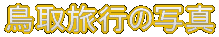 旷s̎ʐ^
